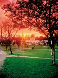 Universidade e Unoeste Saúde realizam Saúde no Parque